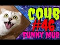 46 Приколы (кубы, coub, коуб, best coub и best cube) - приколы 2021 🔥