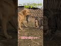 息をのむ人質劇