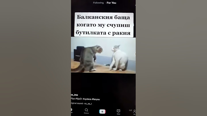 Най- смешните котки на този свят
