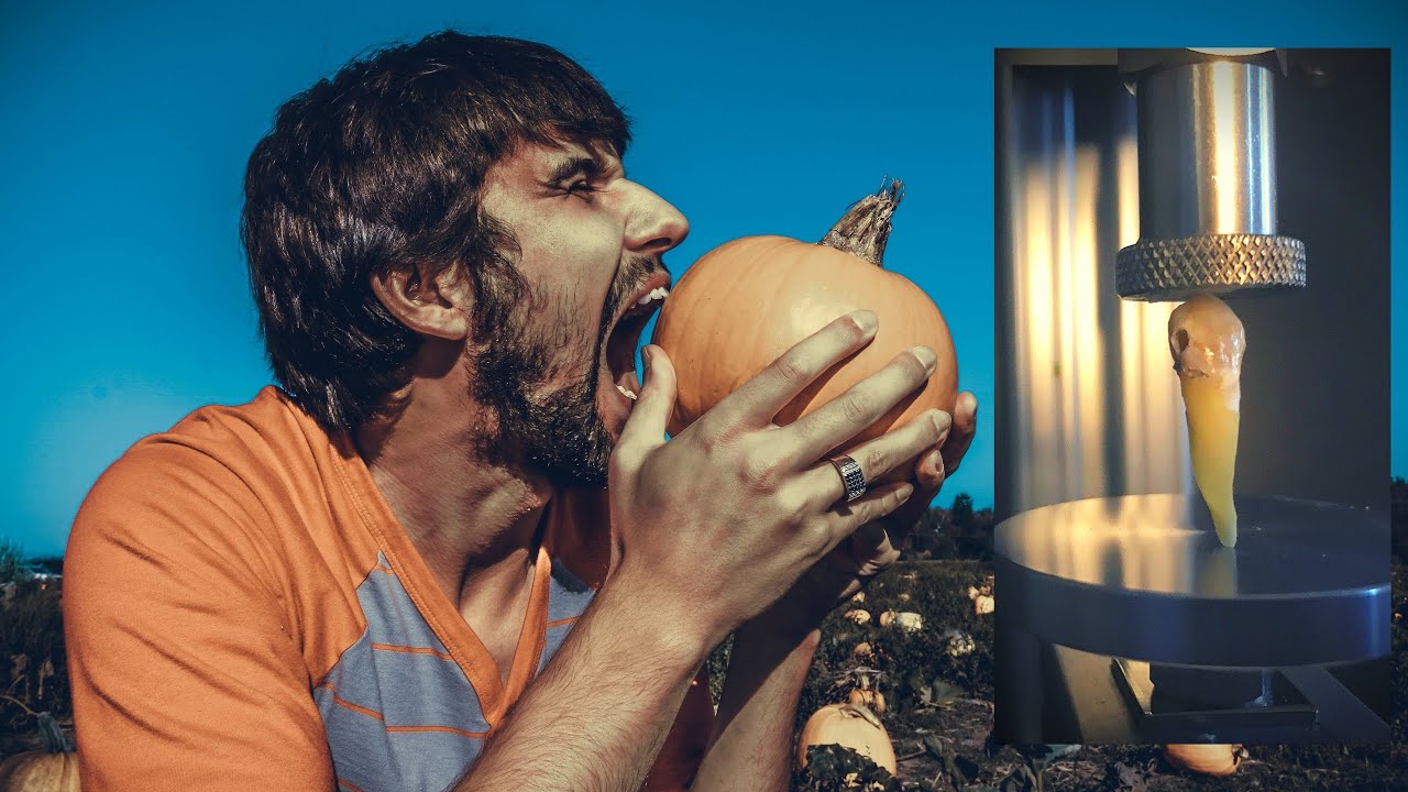 How Much Force It Takes To Break A Tooth