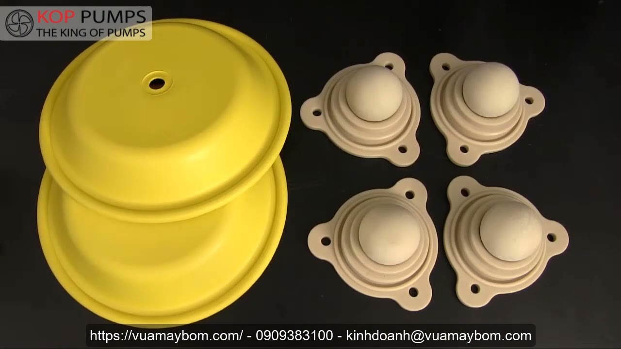 Versamatic 1½ inch Bolted Plastic Pump with Metal Center Wet End Kit Install