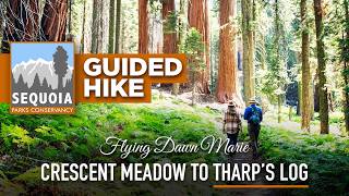 367: Crescent Meadow to Tharp’s Log (Sequoia National Park) – Sequoia Parks Conservancy Guided Hike