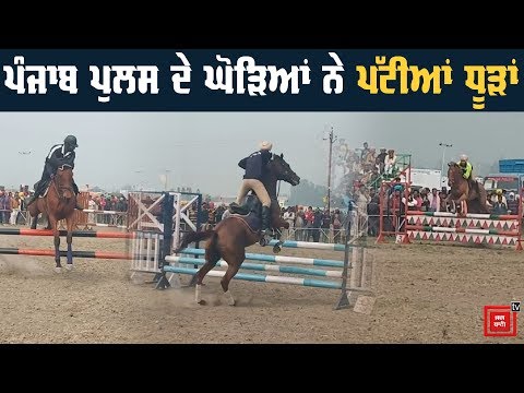 ਵੇਖੋ ਕਿਵੇਂ Punjab Police ਦੇ ਘੋੜਿਆਂ ਨੇ ਪੱਟੀਆਂ ਧੂੜਾਂ