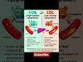 HDL vs LDL effect on Body #LDH #HDL