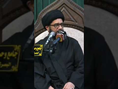 سماحه سيد محمد الصافي يتكلم عن اخي السيد حسين 