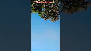 |dekha Hai tab tujhko| #turstonallah| #shortsfeed #youtubeshort #hindishayari #newvlogs2025 #trend|