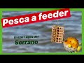 Feeder en Los Lagos del Serrano