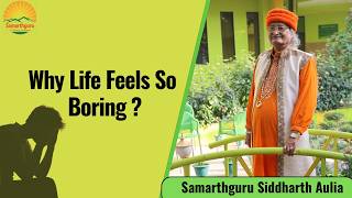 Why Everything Feels Boring