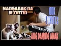 Chihuahua Giving Birth / Nanganak na si TinTin