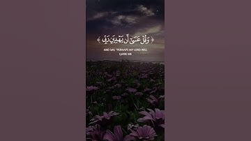 [سورة الكهف – الآية 24] القارئ محمد صديق المنشاوي