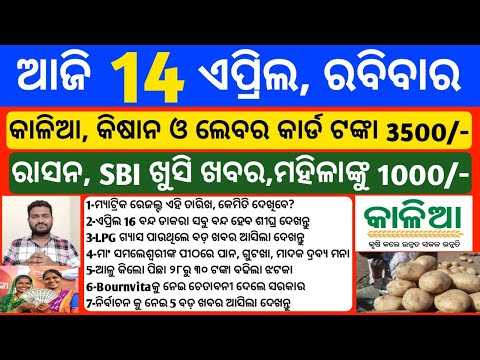 Odisha News 