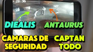 Video Inedito Camaras De Seguridad Captan Toda La Pelea De Antaurus Y Diealis