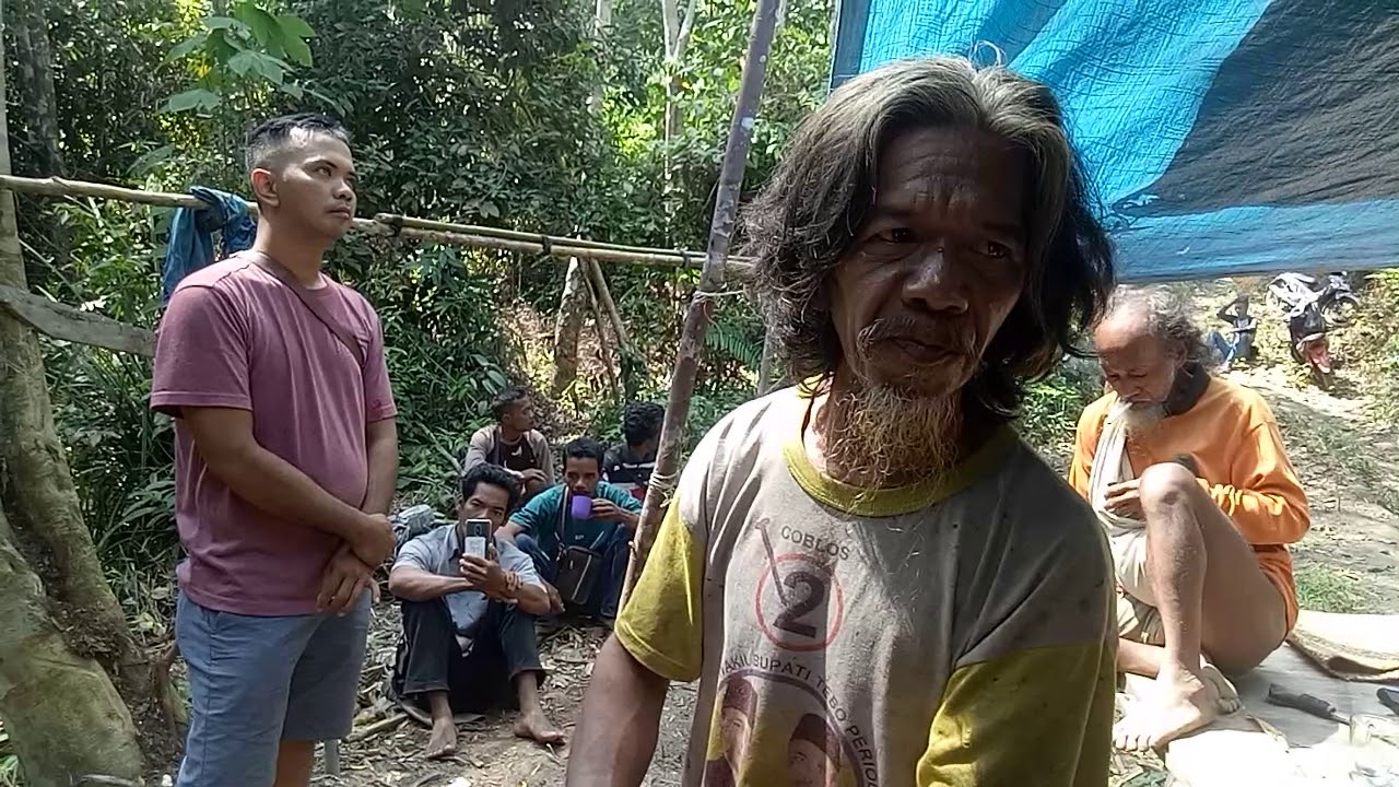 Ketakutan Suku Anak dalam Bukit 12 muara tabir Tebo ,  kehilangan tempat tinggal