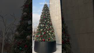 Christmas tree on the street