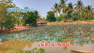 ชนบทลาว เมืองจำพอน, สะหวันนะเขต ดินแดนอู่ข้าวอู่ปลา อุดมสมบูรณ์มาก ข้าวเต็มทุ่งนา บรรยากาศเก่าๆ