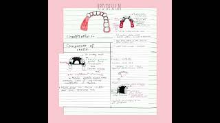 Removable Partial Denture Design Principles