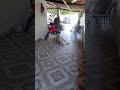 eu mais meu cachorro jogando bola