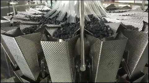 400g Plastic Multihead Weigher Packing Line