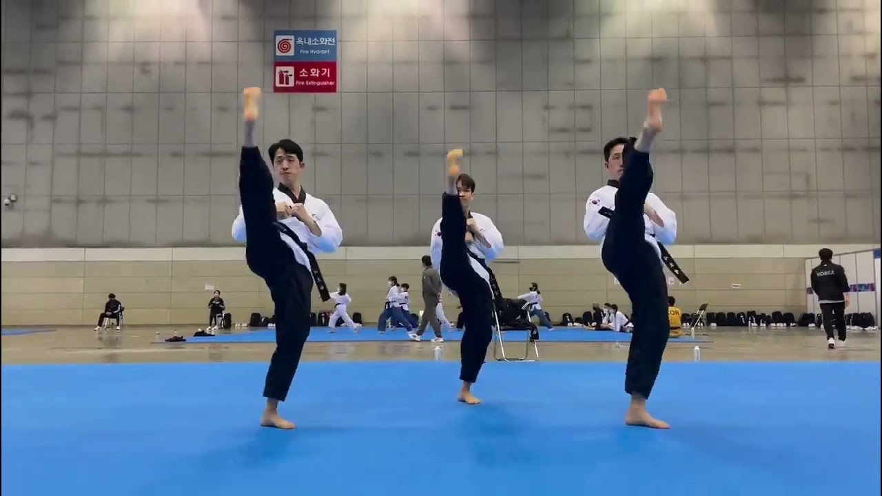 Taekwondo Poomsae (8)
