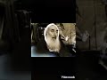 الشيخ احمد ياسين هكذا ربى اجيال غزه 