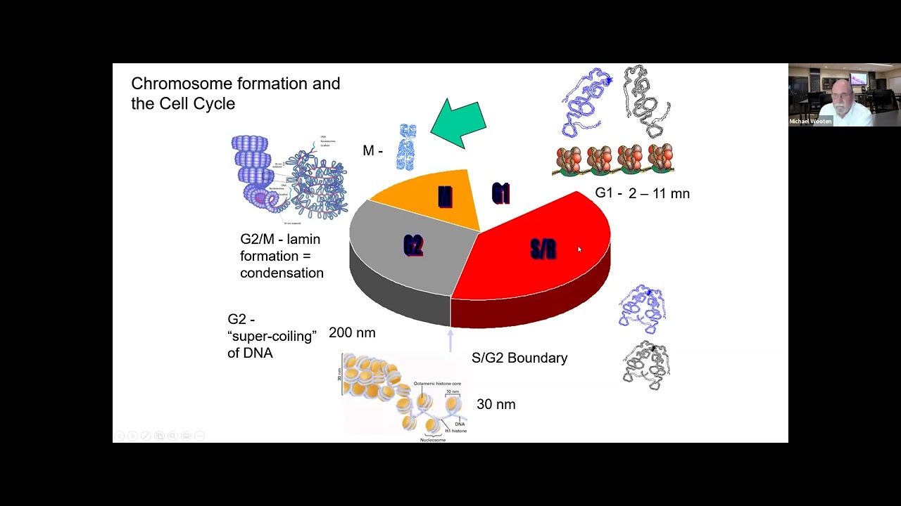 HG - Cell Review Lecture Part 1