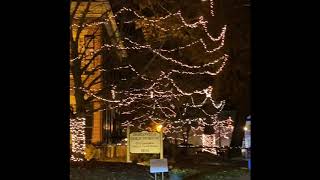 Dahlonega Georgia Christmas Lights 2020