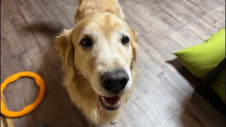 ちょっとだけ夜雑談!