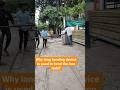 #physics in daily life #viralphysics #viralshort #shortfeed #viralscience