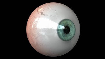 3D eye made in Maya