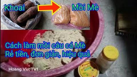 cách làm mồi câu cá mè rẻ tiền, đơn giản, hiệu quả từ khoai lang ủ chua