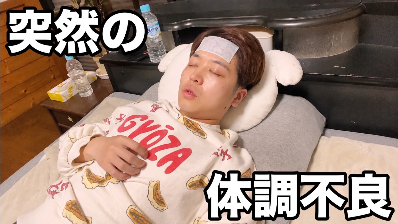 謎の風邪で何もできなかった日