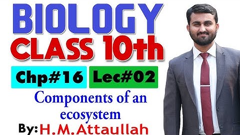 Components of an ecosystem |smart syllabus| ALP|  Chapter # 16 | Biology Class 10th | Lec. 2