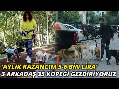 Video: Nasıl Profesyonel Evcil Hayvan Bakıcısı/Köpek Gezdirici Olunur?