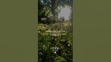 تلاوة هادئة تريح الأعصاب 😴🎧 القارئ: طارق محمد سورة: الزخرف 💙❤