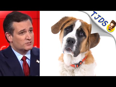 Ted Cruz Dog Whistles Racism Using FDR