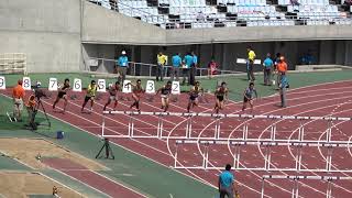 Nat'l Corp2018 Men's 110mH heat3 Wataru YAZAWA13.80(+0.1) 矢澤航 尾形晃広 古川裕太郎