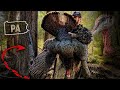 Perfect HUNG UP GOBBLER Play | I Circled Him