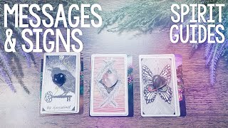 PICK A CARD 🌞 Your SPIRIT GUIDES & Their Messages + Signs 🎊