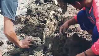 Menjala Ikan Hampala Di Sungai Inaran Mantap Hasil Nya