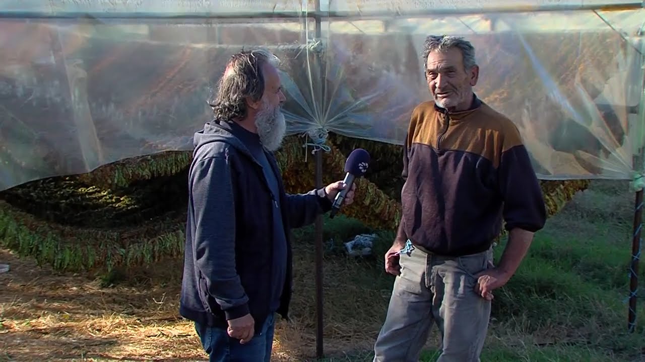 МОЕ СЕЛО - Село Бач со Перо Цаца (дел 2)