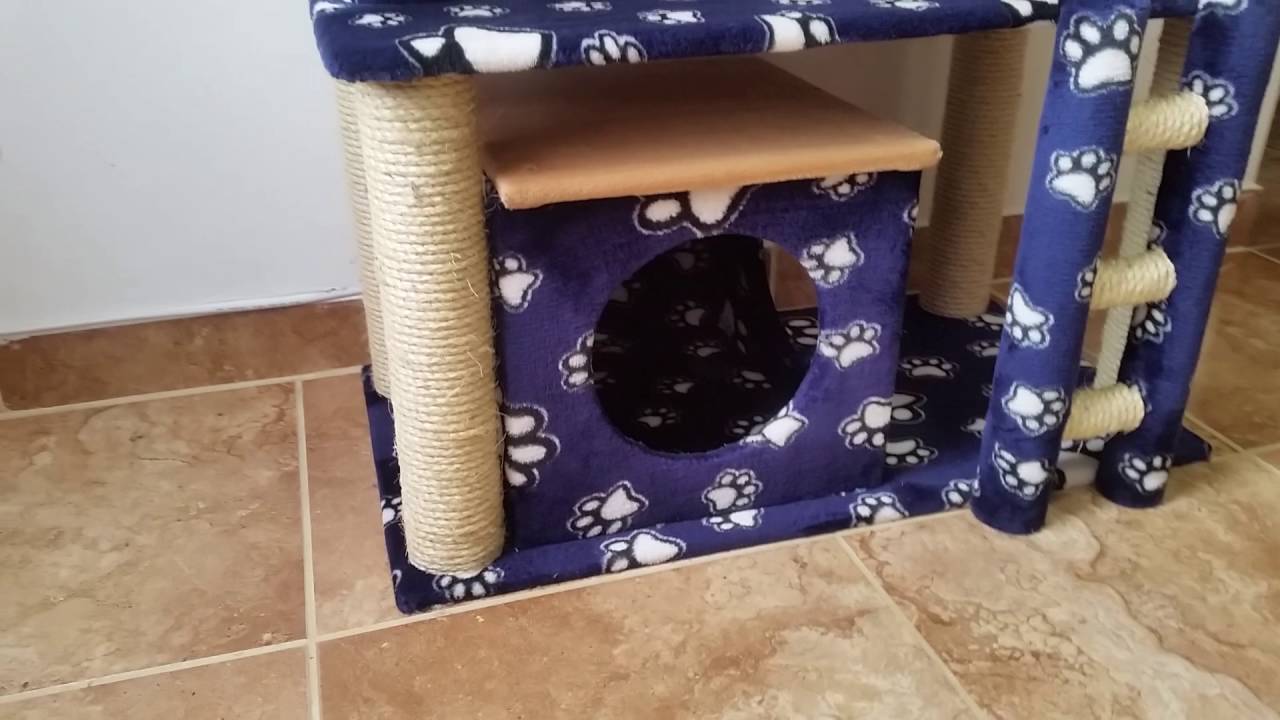 Gimnasio para gatos por sólo $210.000 Medellín - Antioquia