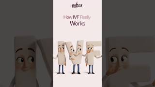How IVF Actually Works