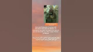 Saud Shuraim/ Sourate Al Baqarah V{102}