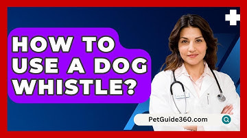 How To Use A Dog Whistle? - PetGuide360.com