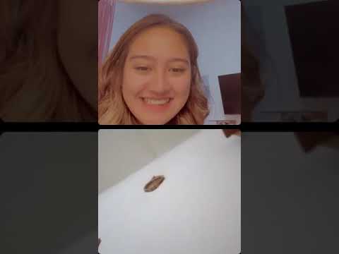 Salshabilla Adriani Live Stream, September 30, 2021
