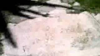 bumpy sidewalk =(