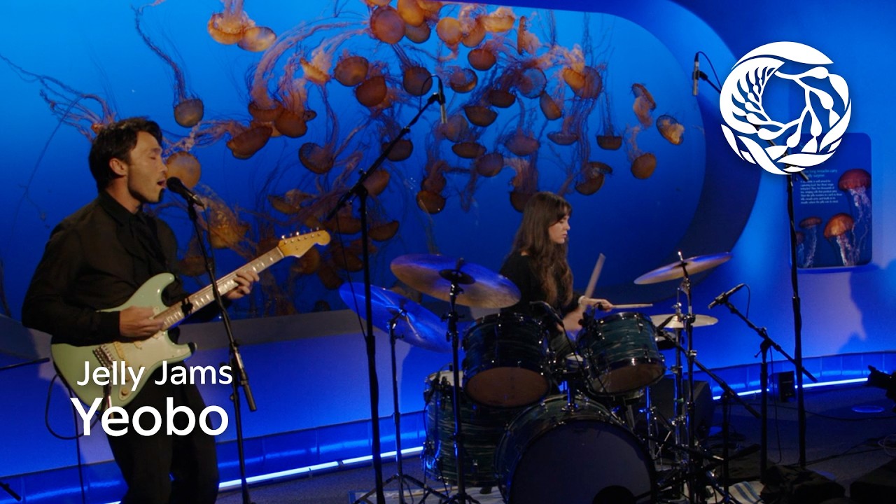 Jelly Jams featuring Yeobo