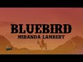 Miranda Lambert Bluebird Lyrics mp3
