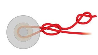 Arbor Knot, نحوه ی بستن نخ به قرقره ی چرخ ماهیگیری