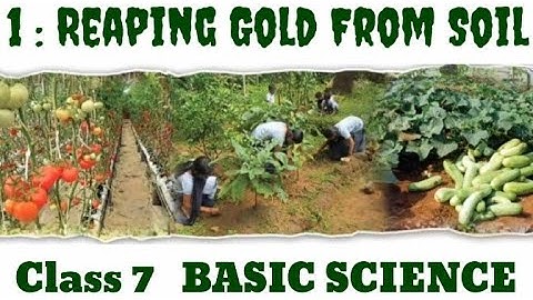 Class 7/Basic Science/Chapter 1/Notes/Reaping Gold From Soil/Kerala Syllabus/English Medium/std 8